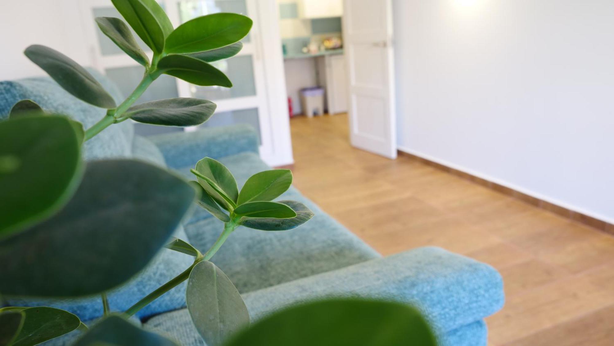 Tuerkiz Kanaan Apartman Пуэрто-де-Сантьяго Экстерьер фото